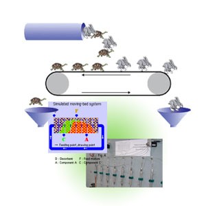 模擬移動(dòng)床系統(tǒng)